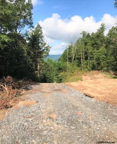 $87,000 | 0 Huntersland Road, Middleburgh, NY 12122