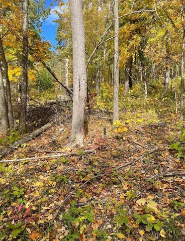 $87,000 | 0 Huntersland Road, Middleburgh, NY 12122