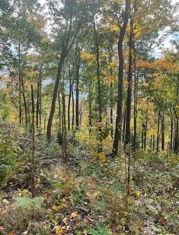 $87,000 | 0 Huntersland Road, Middleburgh, NY 12122