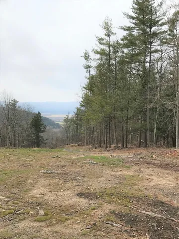 $87,000 | 0 Huntersland Road, Middleburgh, NY 12122