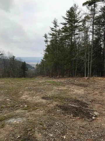 $87,000 | 0 Huntersland Road, Middleburgh, NY 12122