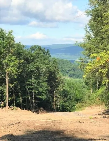 $87,000 | 0 Huntersland Road, Middleburgh, NY 12122