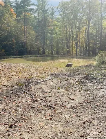 $87,000 | 0 Huntersland Road, Middleburgh, NY 12122