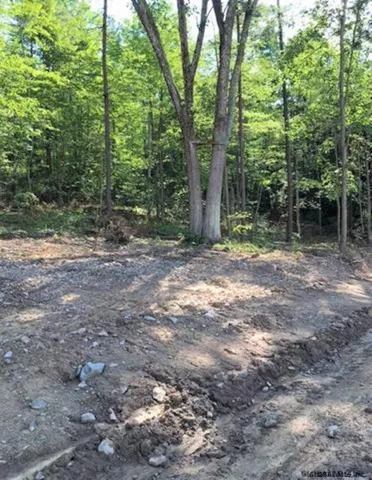 $87,000 | 0 Huntersland Road, Middleburgh, NY 12122