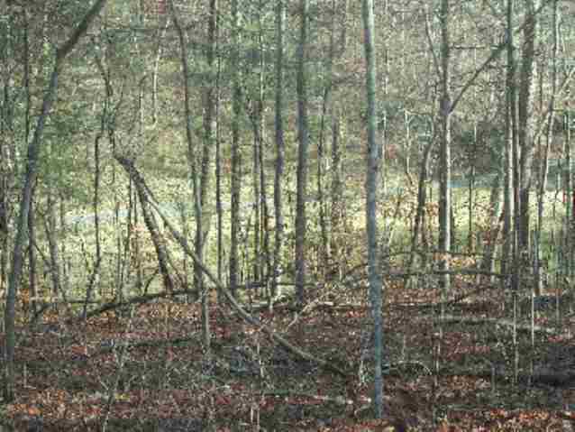 121 Spinnaker Way Salem, SC 29676 - Photo 1 of 3 Gallery Image 1