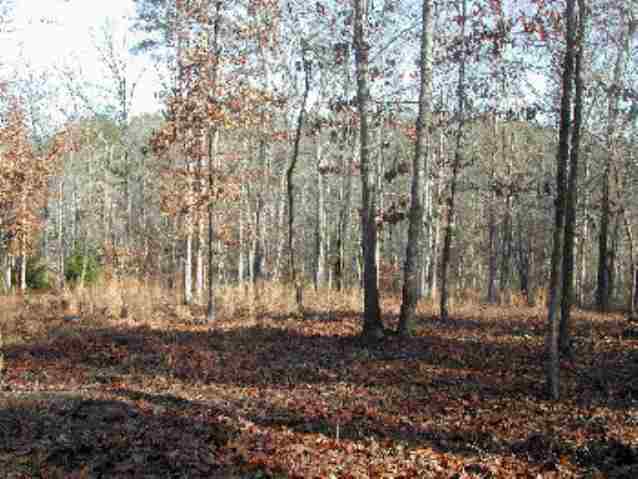 121 Spinnaker Way Salem, SC 29676 - Photo 2 of 3 Gallery Image 2