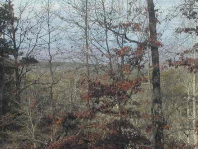 121 Spinnaker Way Salem, SC 29676 - Photo 3 of 3 Gallery Image 3