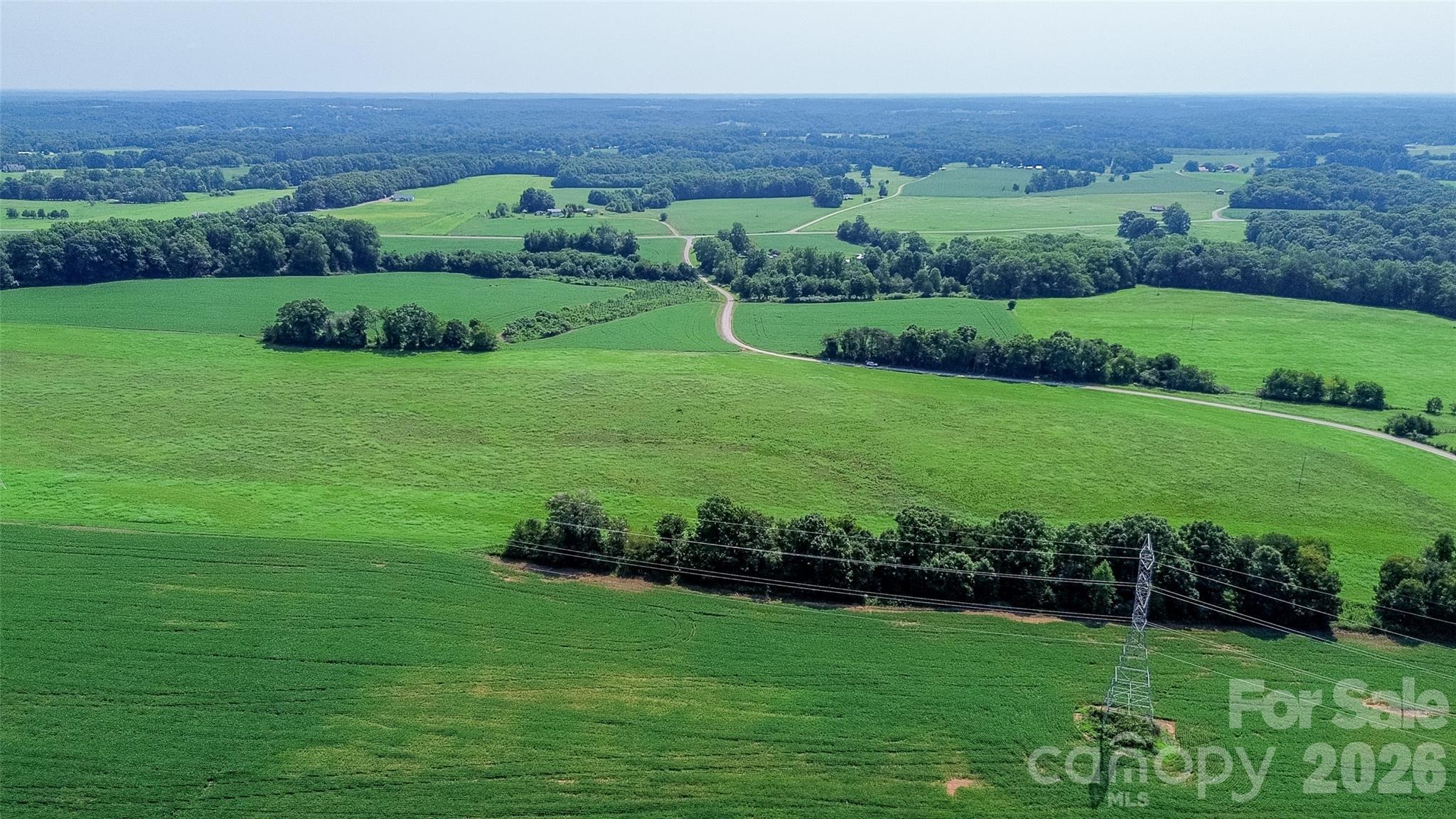 40-ac Amble Road Olin, NC 28660 - Photo 21 of 29 Gallery Image 21