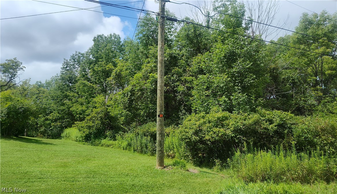 Vl State Road Kingsville, OH 44048 - Photo 3 of 8 Gallery Image 3