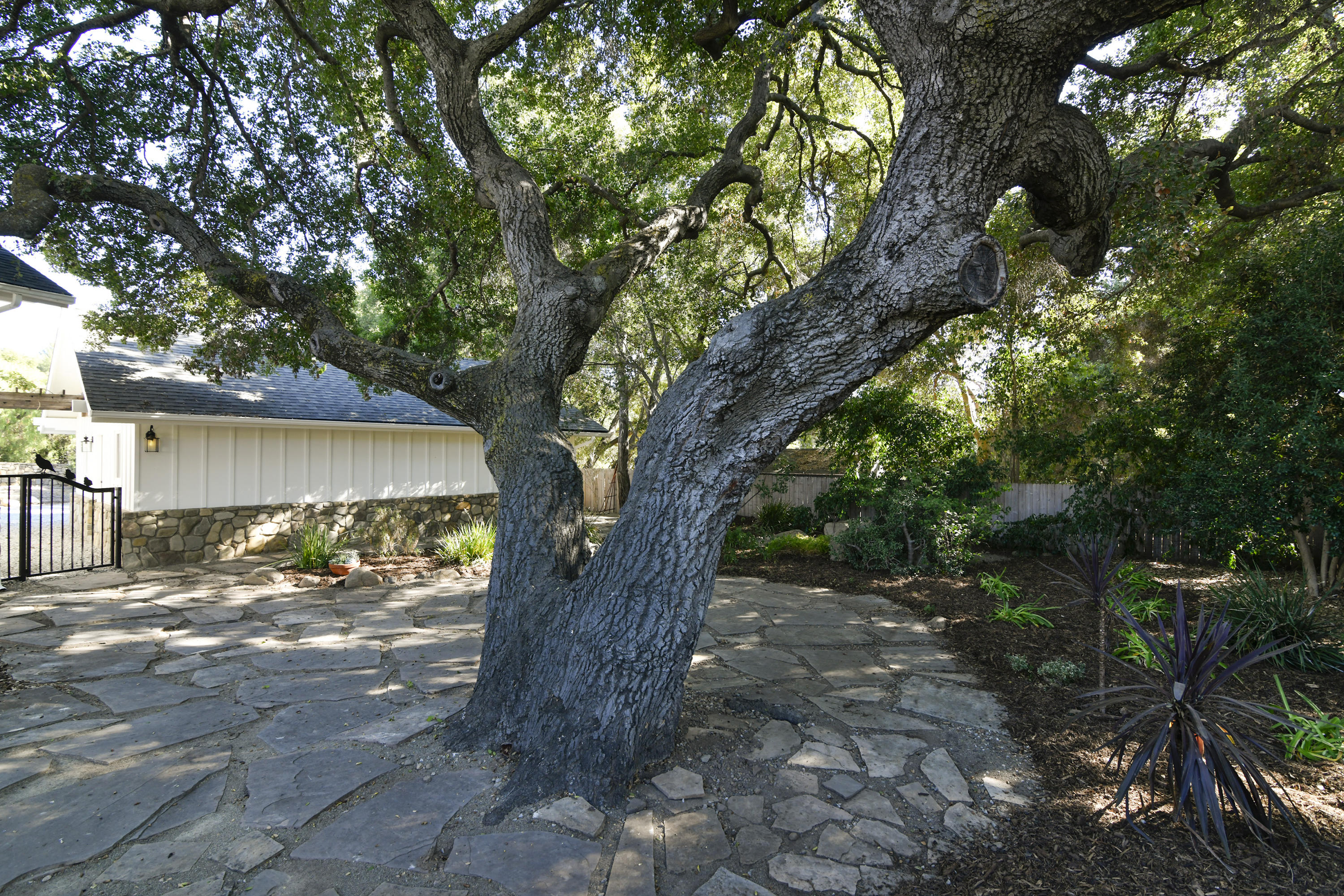 1615 McNell Road Ojai, CA 93023 - Photo 17 of 23 M25