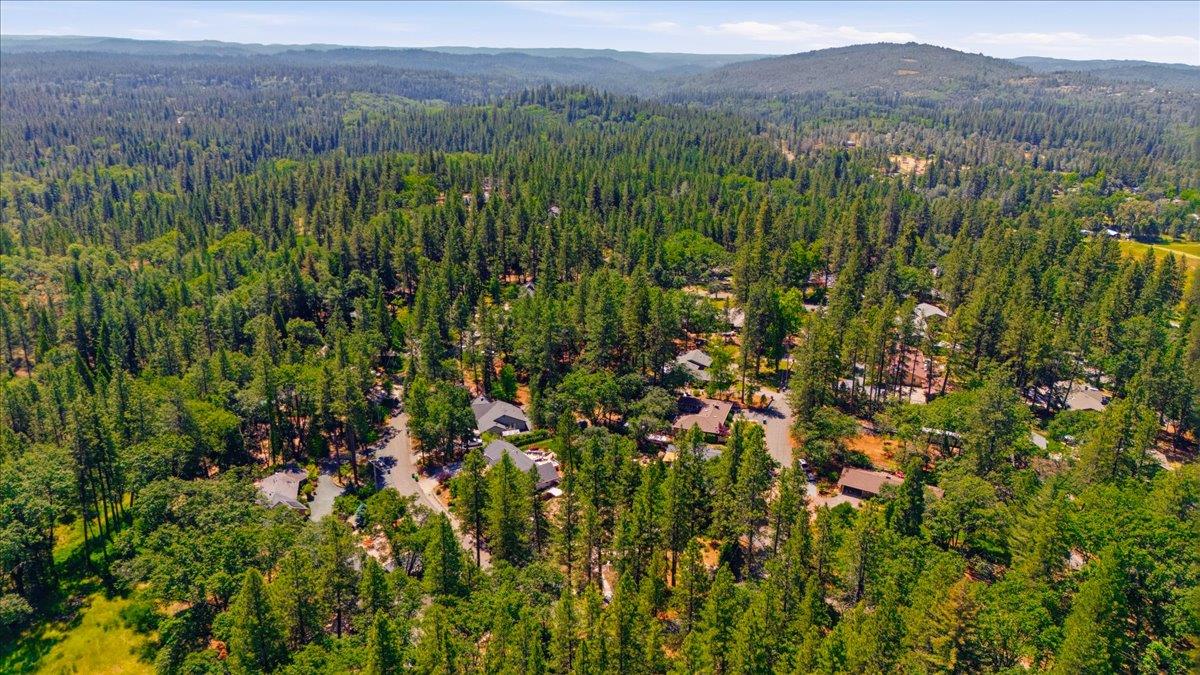 12600 Friar Tuck Road Grass Valley, CA 95949 - Photo 54 of 56 a view of a lush green forest with lush green forest