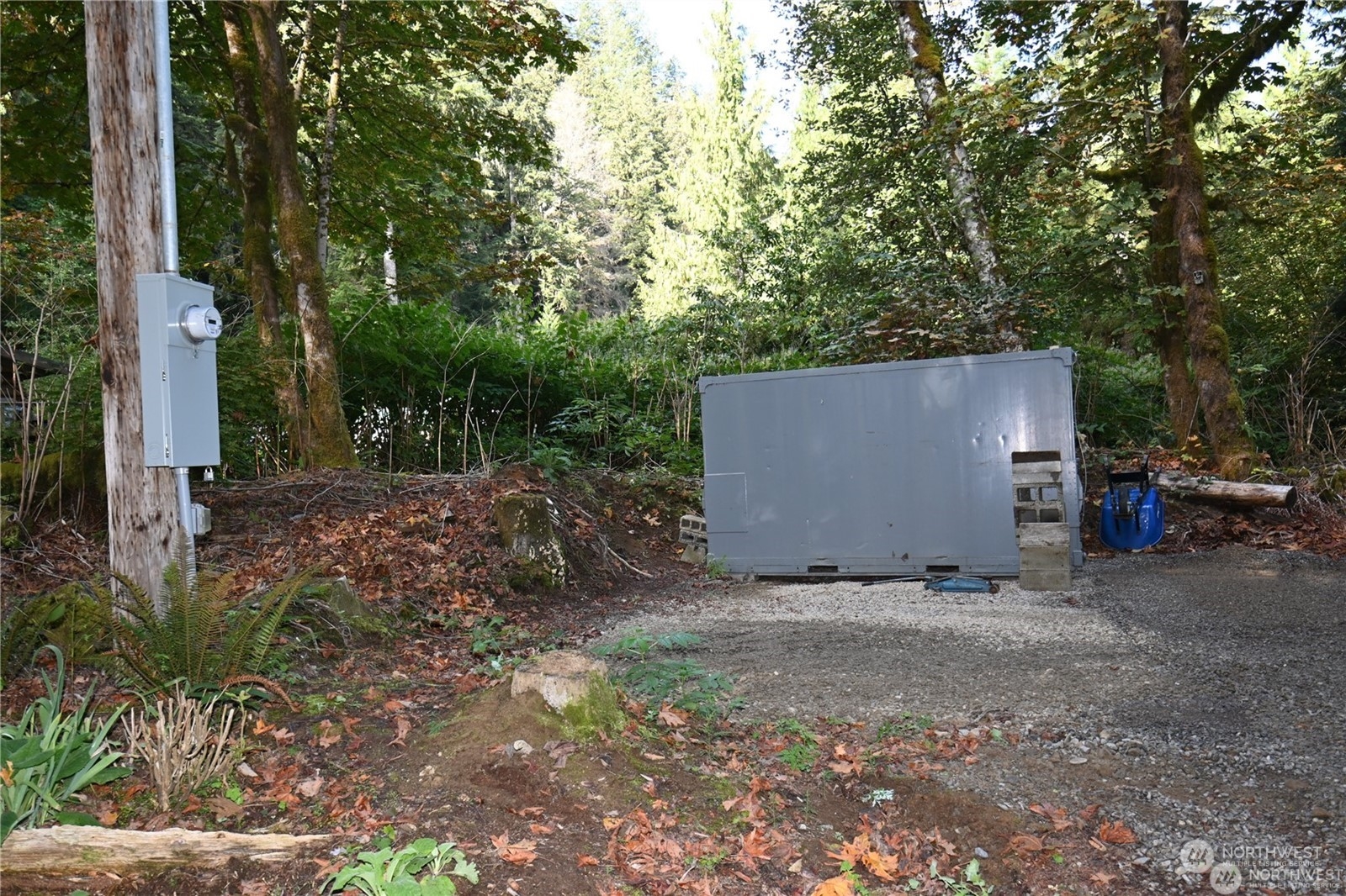 53011 Sky Loop Road Gold Bar, WA 98251 - Photo 16 of 24 a backyard of a house with lots of green space