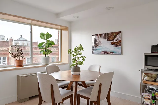 a dining room with furniture and a potted plant