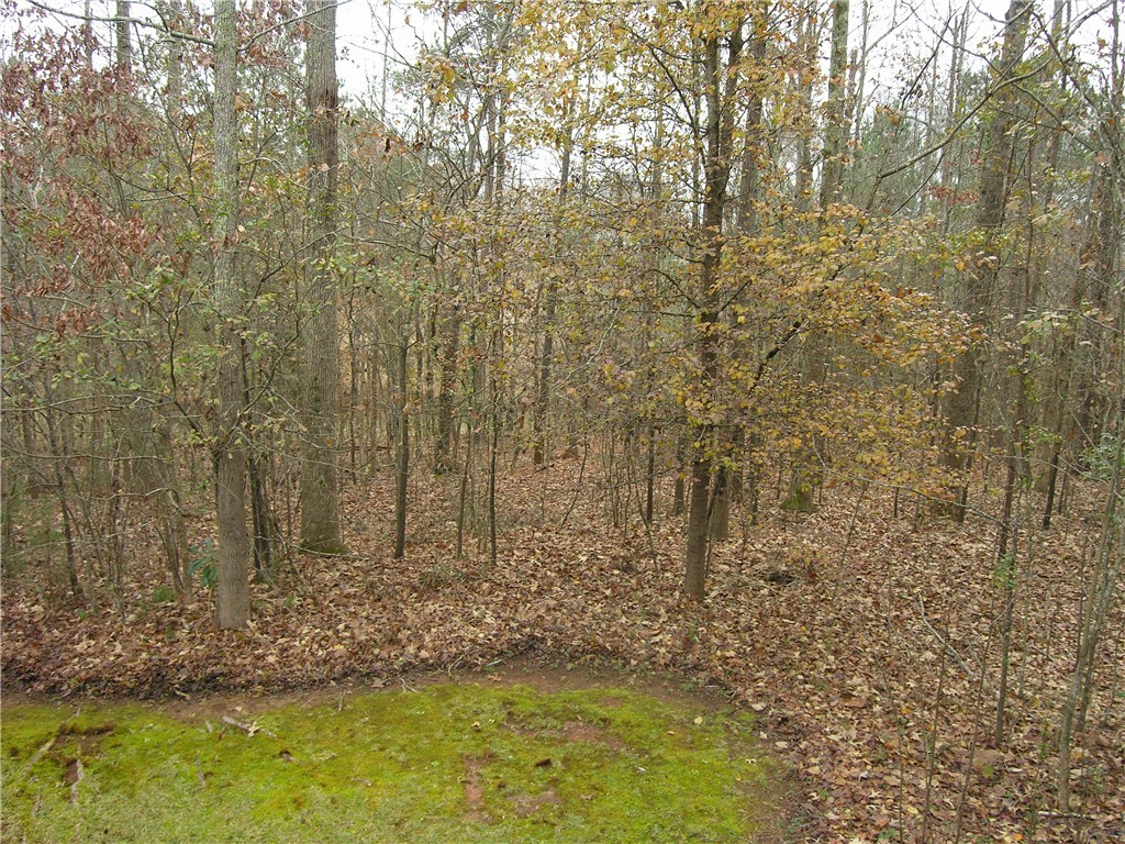 273 Horseshoe Road, Unit CENTRAL Central, SC 29630 - Photo 29 of 32