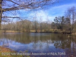 63 Bundrum Road Coldwater, MS 38618 - Photo 3 of 32 IMG_6530