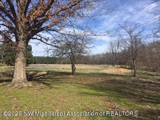 63 Bundrum Road Coldwater, MS 38618 - Photo 5 of 32 IMG_6532