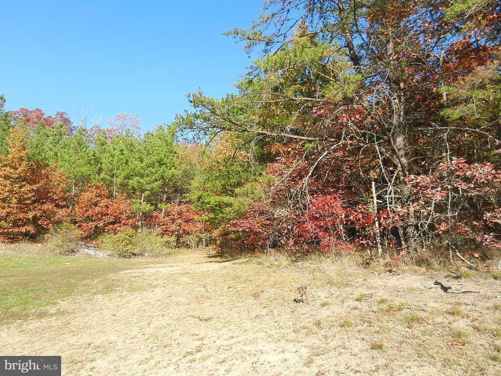 18405 Shale Road Southeast Oldtown, MD 21555 - Photo 26 of 30 Exterior (General)