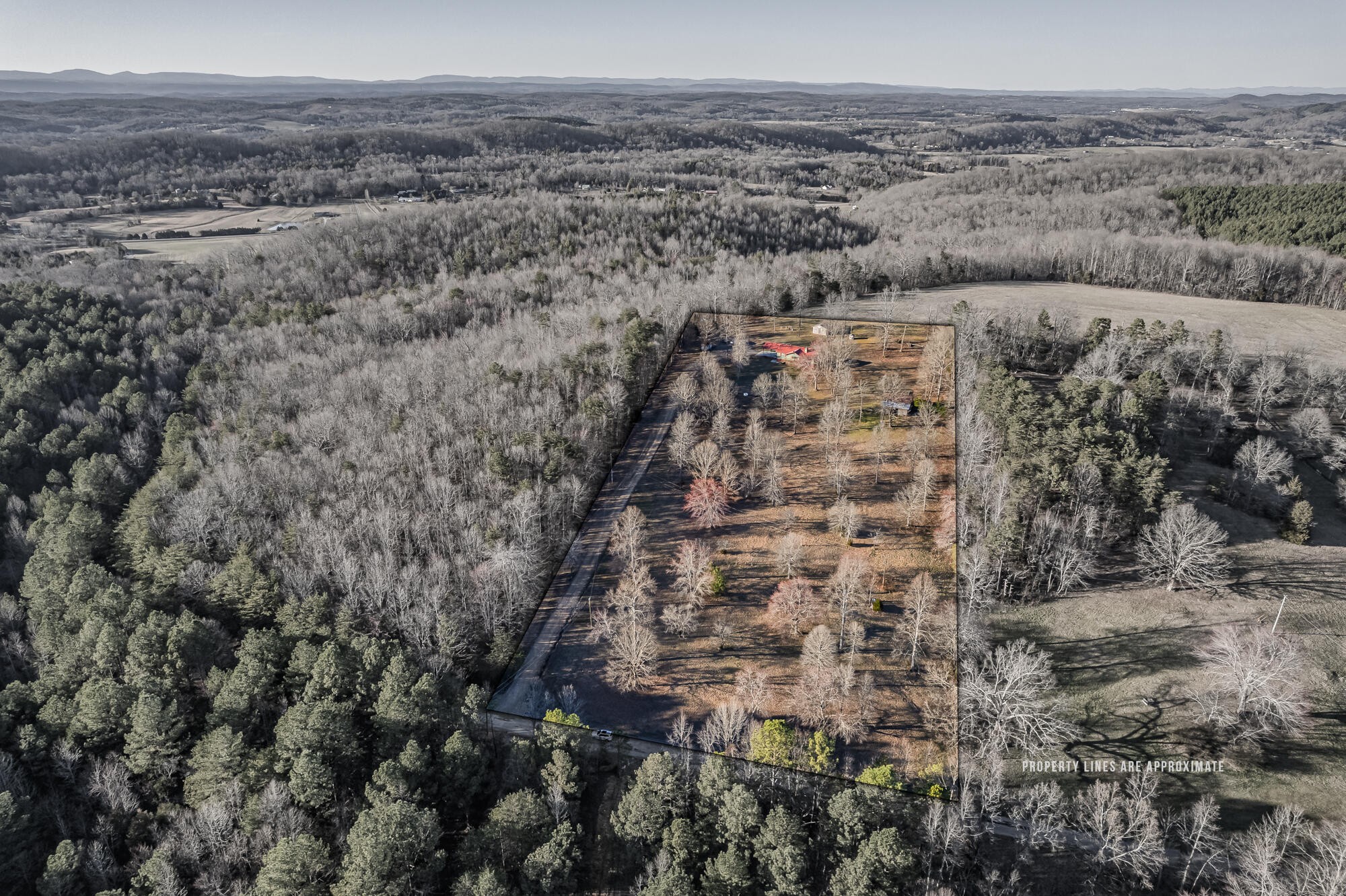 947 Butler Road Niota, TN 37826 - Photo 2 of 43 a view of a dry yard