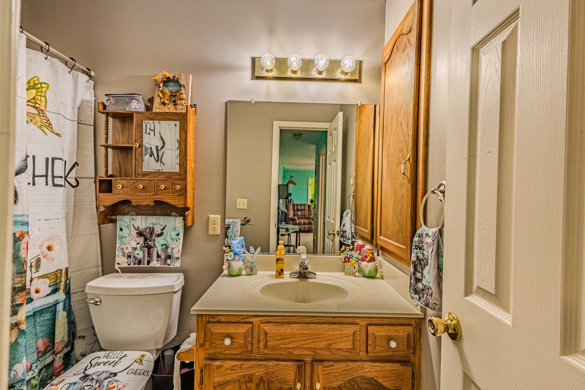 947 Butler Road Niota, TN 37826 - Photo 23 of 43 a bathroom with a sink toilet and shower