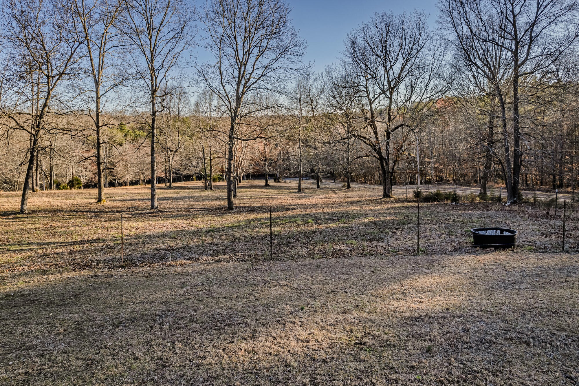 947 Butler Road Niota, TN 37826 - Photo 24 of 43 a view of road with large trees