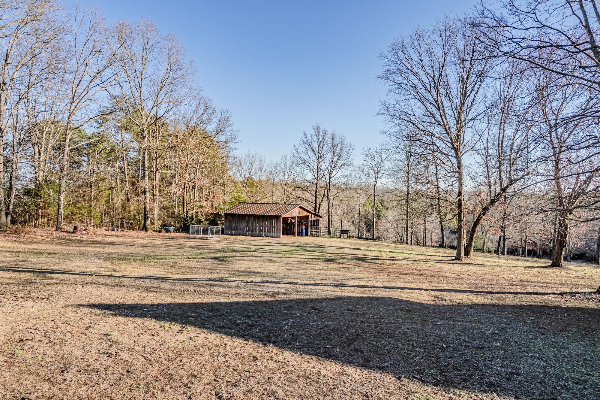 947 Butler Road Niota, TN 37826 - Photo 35 of 43 a view of road and trees