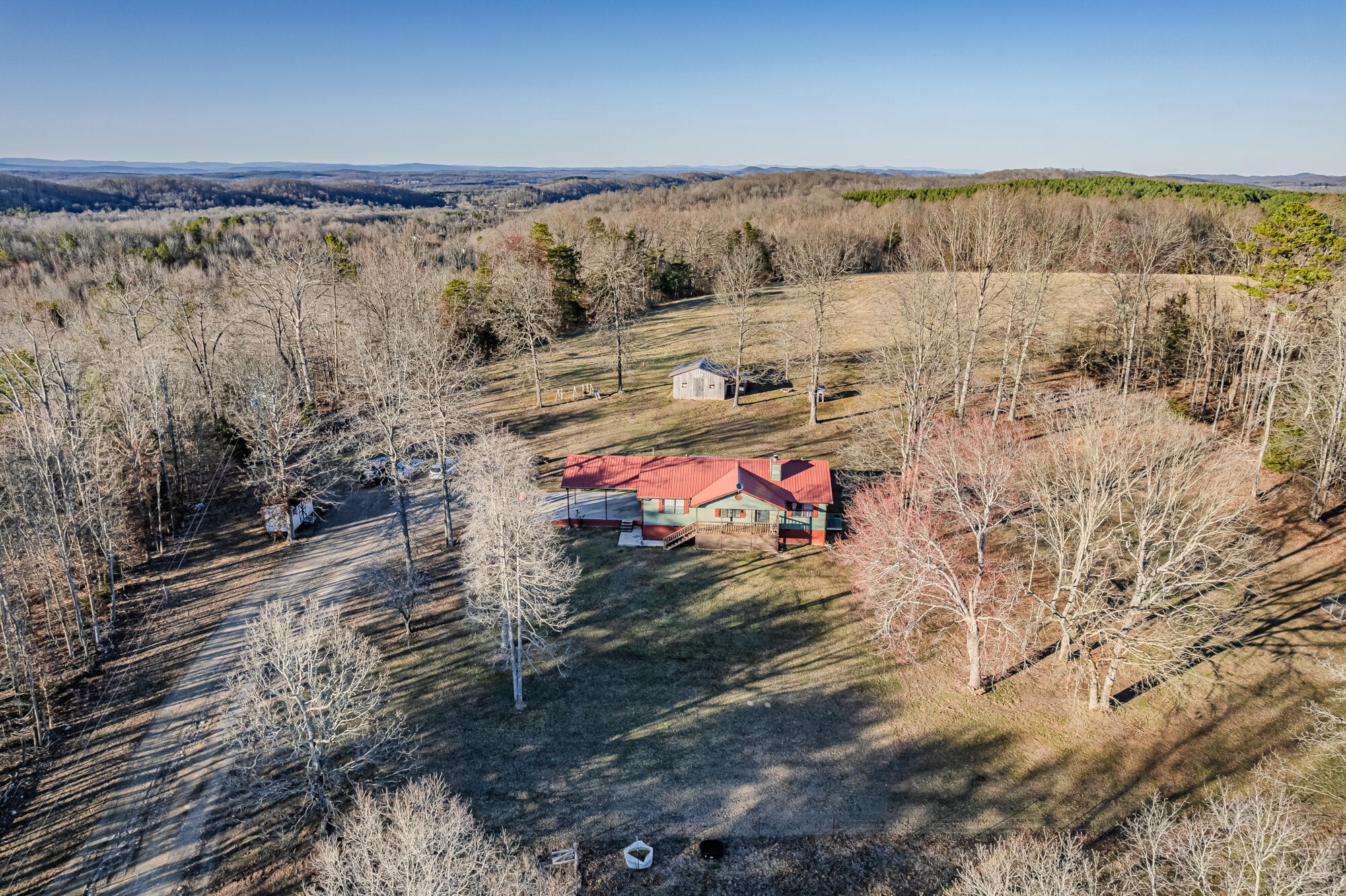 947 Butler Road Niota, TN 37826 - Photo 5 of 43 a view of a forest