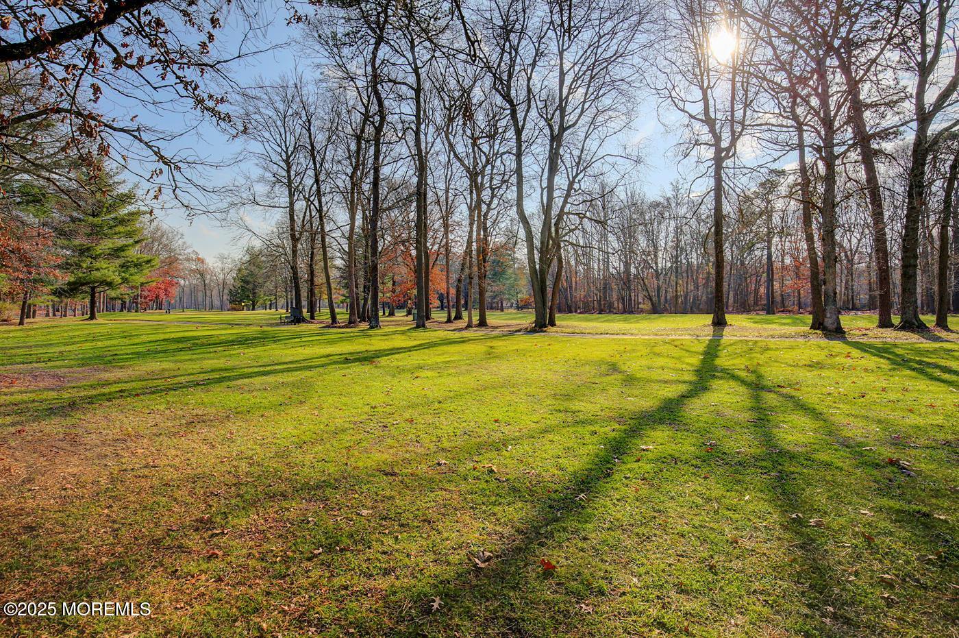 177 Amberly Drive, Unit C Manalapan, NJ 07726 - Photo 16 of 23 IMG_4943