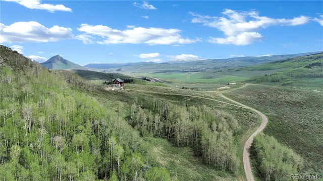 a view of a city with lush green forest
