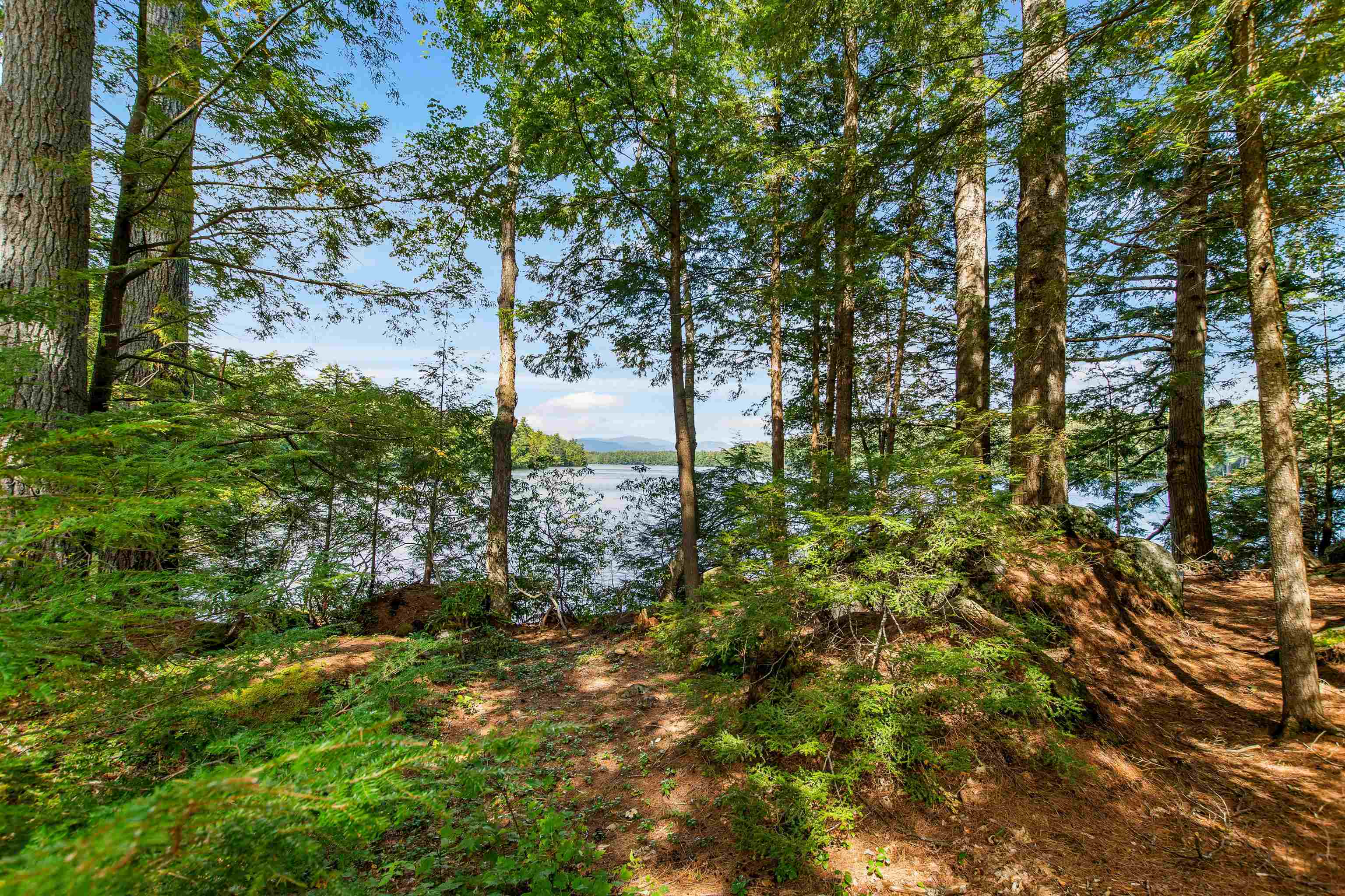 222 College Road Center Harbor, NH 03226 - Photo 36 of 39