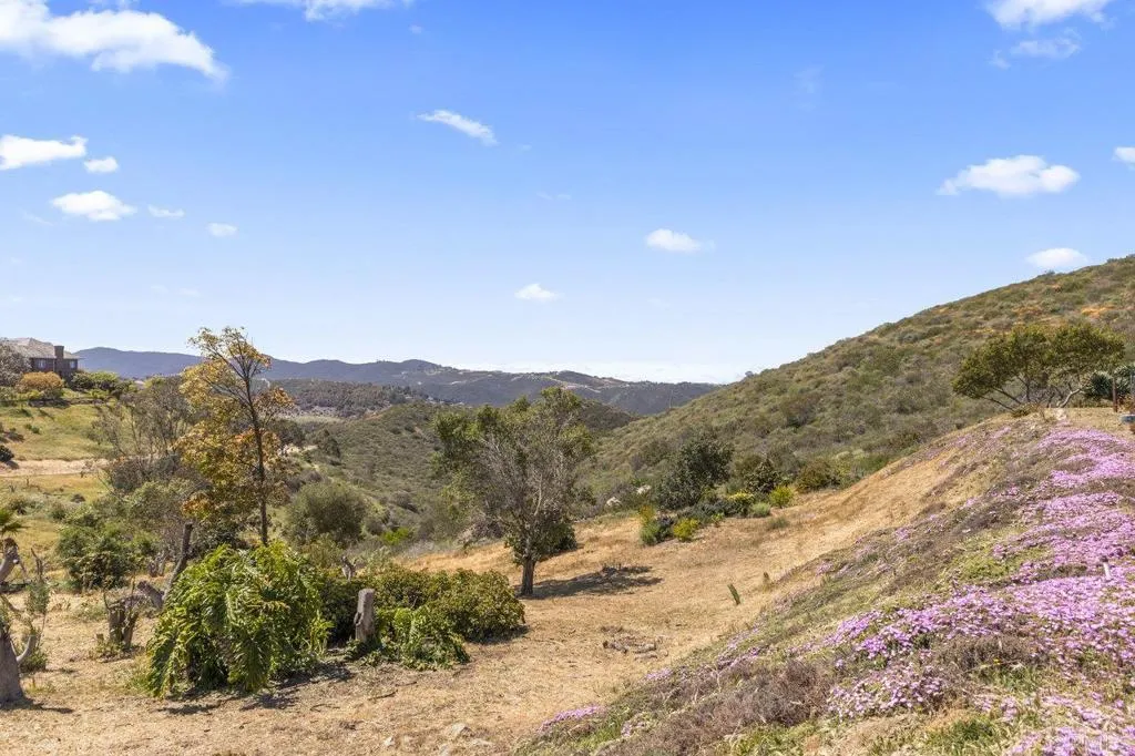 6825 Kellyn Lane Vista, CA 92084 - Photo 53 of 65 a view of a dry yard with mountains in the background