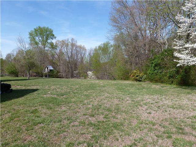 7376 Taylor Road Fairview, TN 37062 - Photo 3 of 20 View of the backyard from the side of the home.