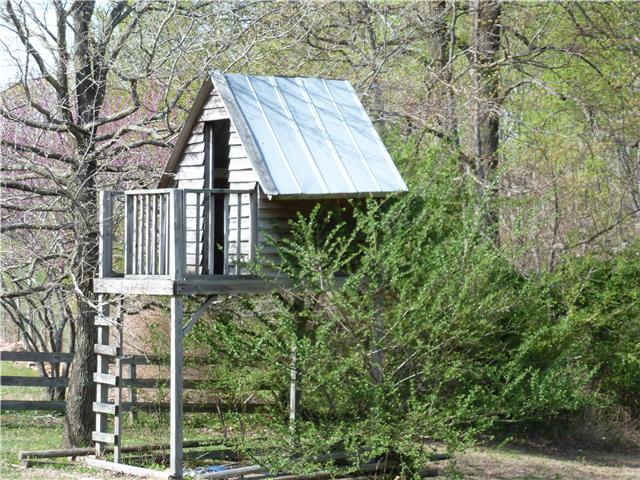 7376 Taylor Road Fairview, TN 37062 - Photo 4 of 20 Kids Play House