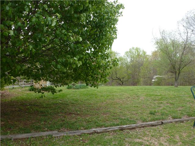 7376 Taylor Road Fairview, TN 37062 - Photo 5 of 20 Partial view of the backyard