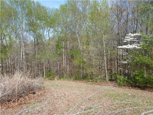 7376 Taylor Road Fairview, TN 37062 - Photo 6 of 20 View of the woods....approx 5 acres of woods