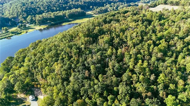 a view of a lake with a park