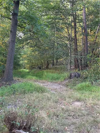 a view of a yard with a tree