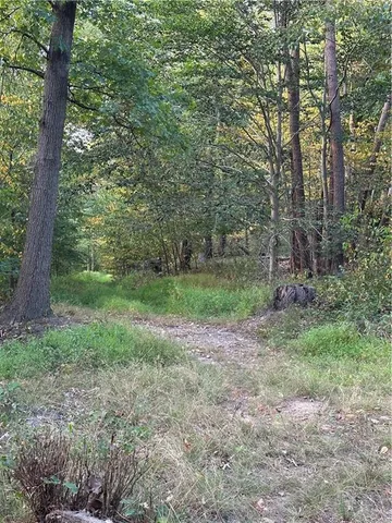 a view of a yard with a tree