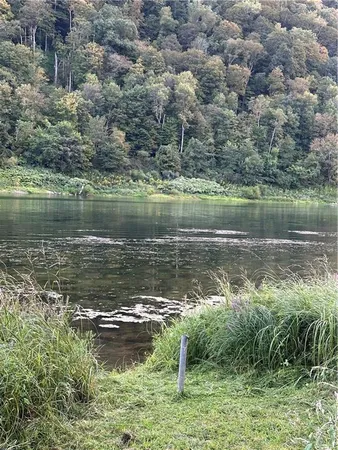 a large body of water with lots of green space and fog