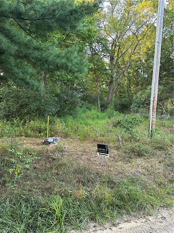 Lot 10 Sarah Furnace Road Rimersburg, PA 16248 - Photo 4 of 19 a big yard with lots of green space and deers