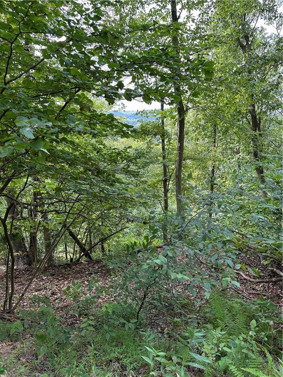 Lot 10 Sarah Furnace Road Rimersburg, PA 16248 - Photo 6 of 19 a view of a forest