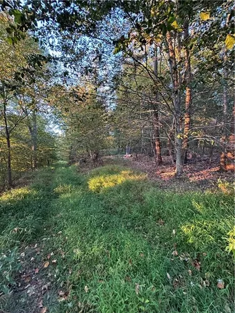 a view of yard with green space
