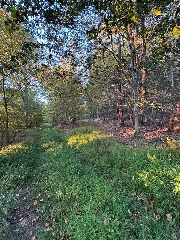 Lot 10 Sarah Furnace Road Rimersburg, PA 16248 - Photo 8 of 19 a view of yard with green space
