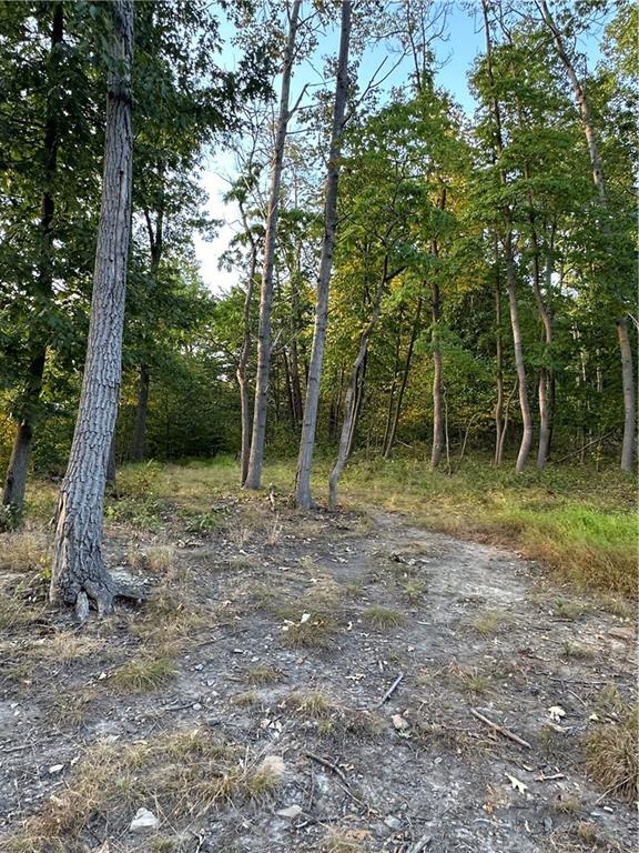 Lot 10 Sarah Furnace Road Rimersburg, PA 16248 - Photo 9 of 19 a backyard of a house with lots of green space