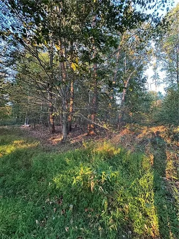 a view of outdoor space with trees all around