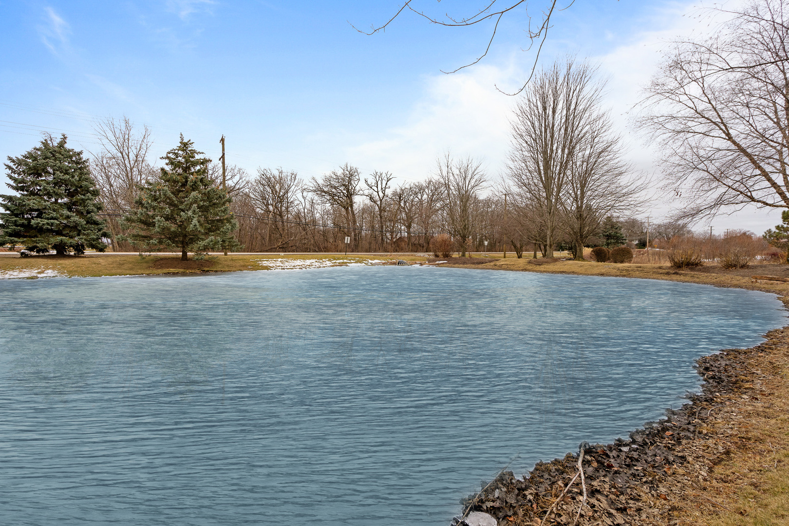 16551 SpringView Drive Lockport, IL 60441 - Photo 3 of 47 a view of a swimming pool and an outdoor space