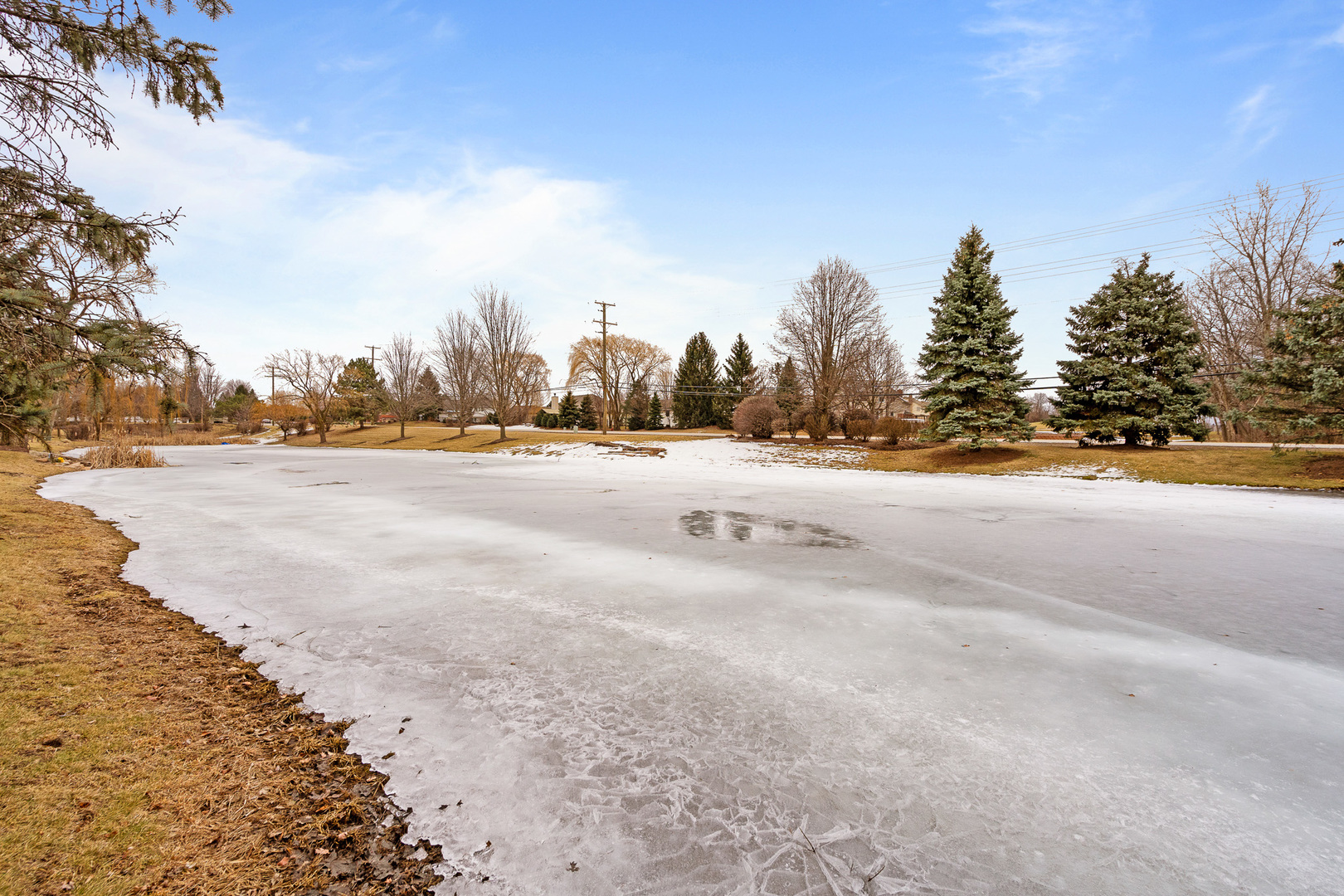 16551 SpringView Drive Lockport, IL 60441 - Photo 42 of 47 a view of an ocean beach