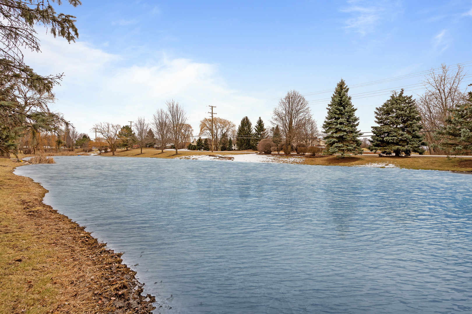 16551 SpringView Drive Lockport, IL 60441 - Photo 45 of 47 a view of a lake view