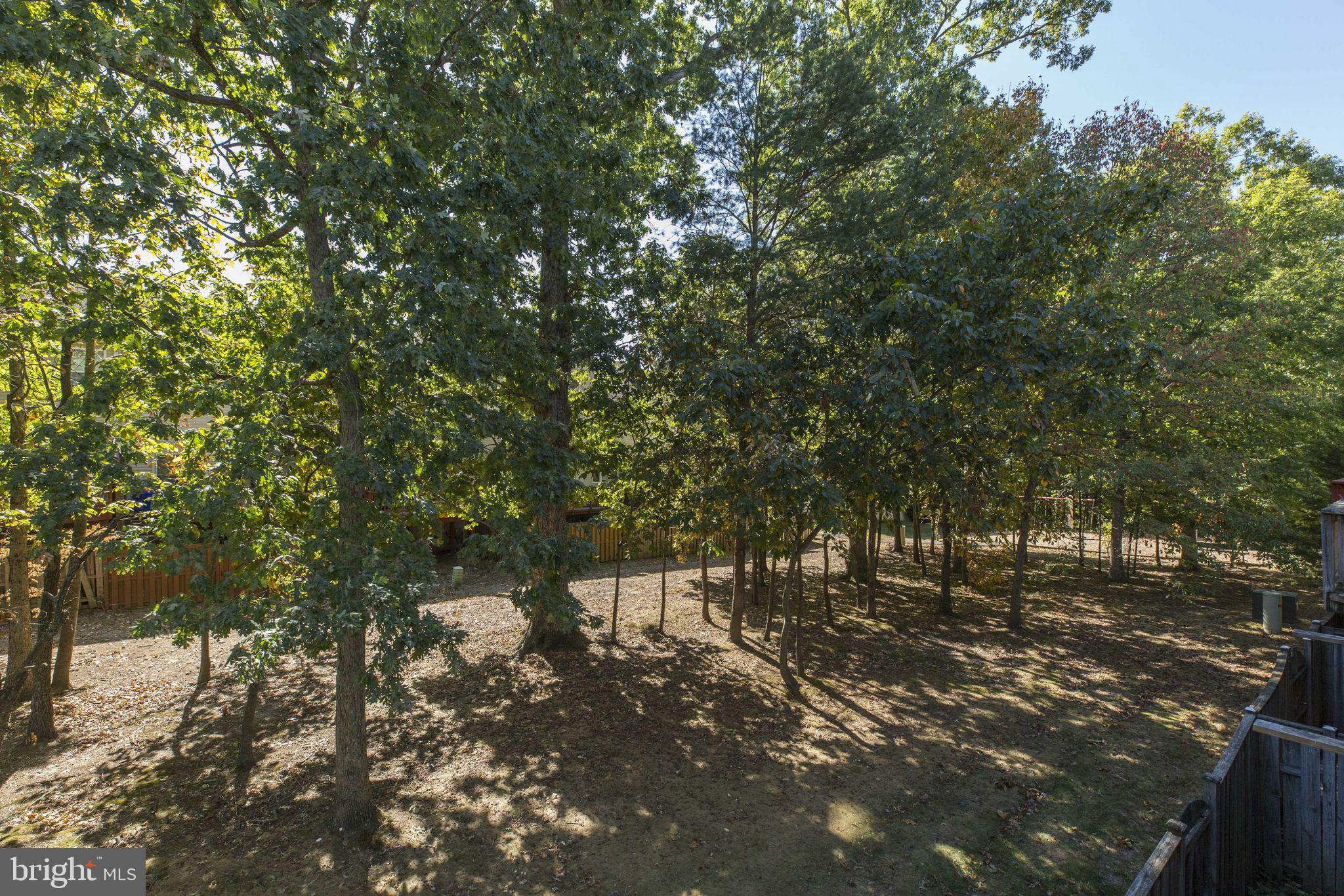 14851 Bolton Road Centreville, VA 20121 - Photo 41 of 44 Backyard