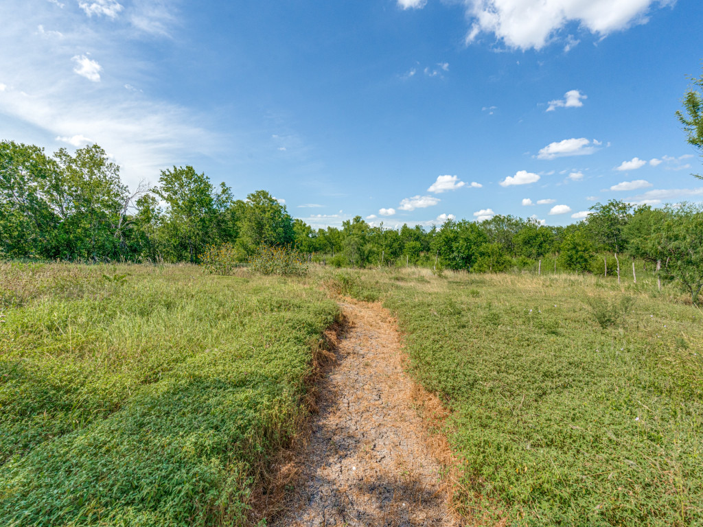 1035 Palomino Road Kyle, TX 78640 - Photo 13 of 13 A tranquil path winds through a verdant field, framed by a clear blue sky.