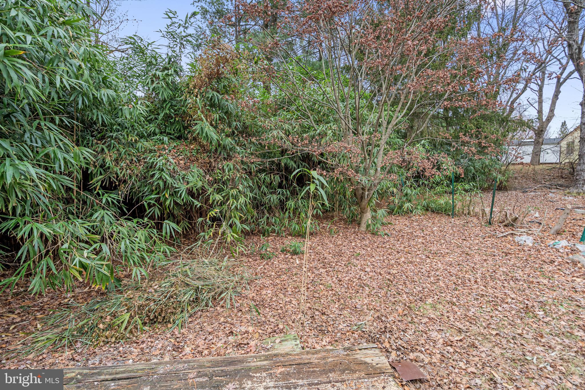 6136 Sinbad Place Columbia, MD 21045 - Photo 29 of 31 a view of a yard with plants and trees